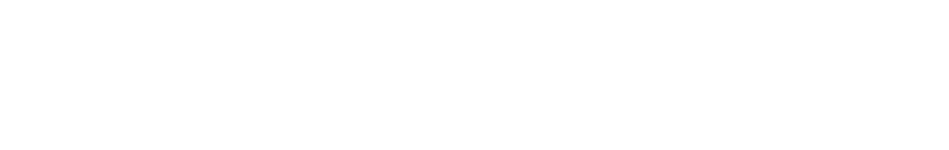 big_logo